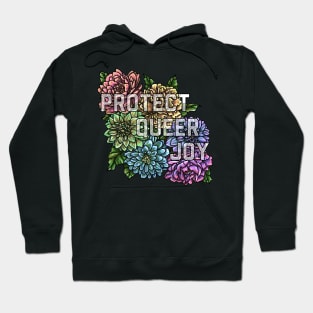 Protect Queer Joy Hoodie